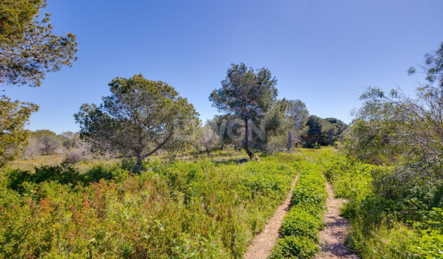 Odsprzedaż - Kamienica - Torrevieja - La Siesta - El Salado - Torreta