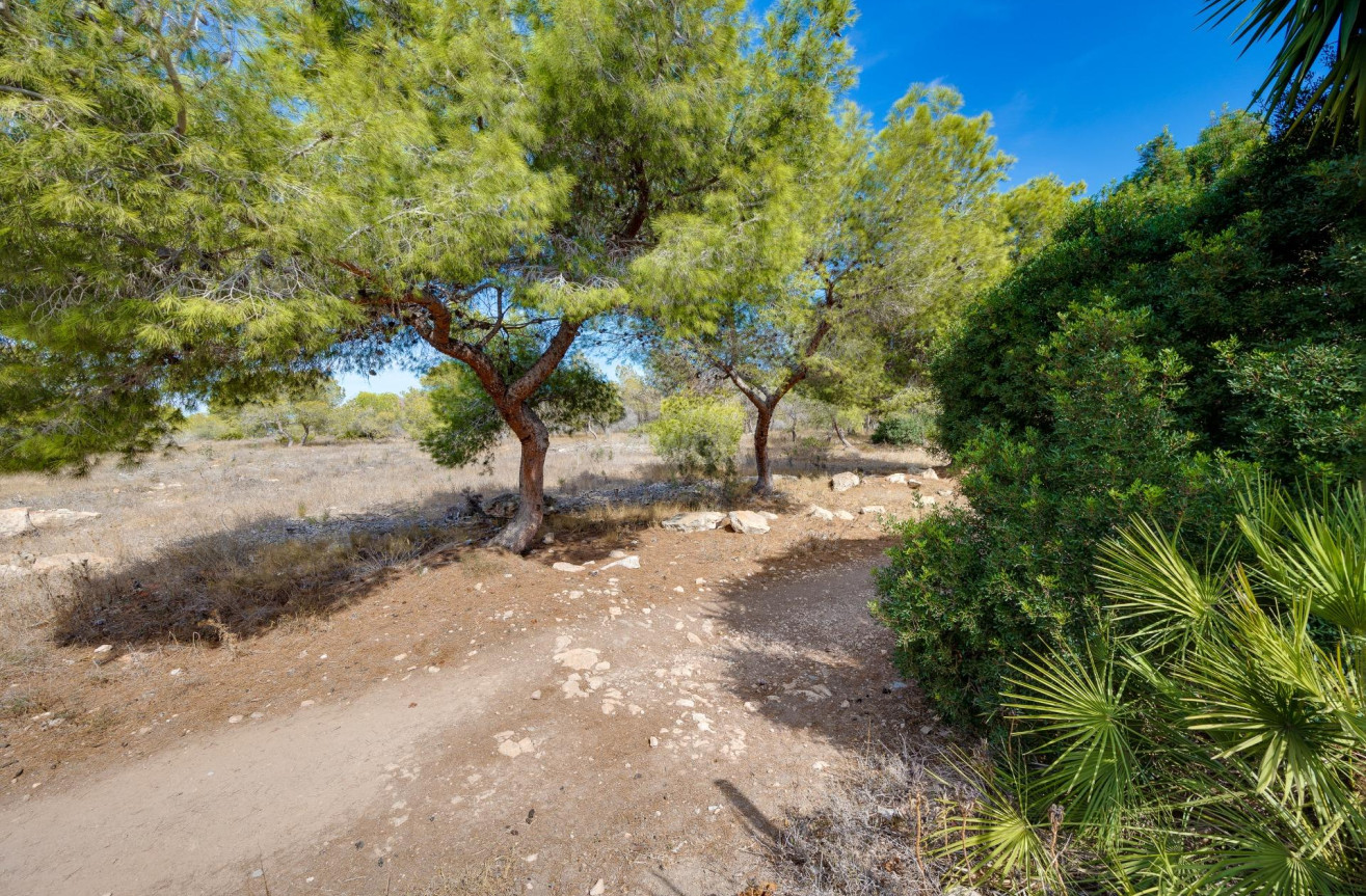 Odsprzedaż - Kamienica - Torrevieja - La Siesta - El Salado - Torreta