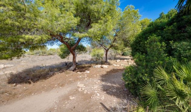 Odsprzedaż - Kamienica - Torrevieja - La Siesta - El Salado - Torreta