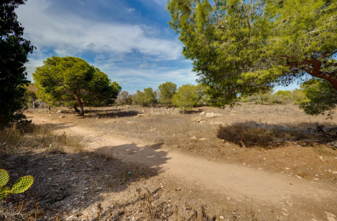 Odsprzedaż - Kamienica - Torrevieja - La Siesta - El Salado - Torreta