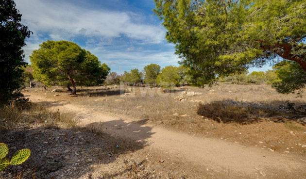 Odsprzedaż - Kamienica - Torrevieja - La Siesta - El Salado - Torreta