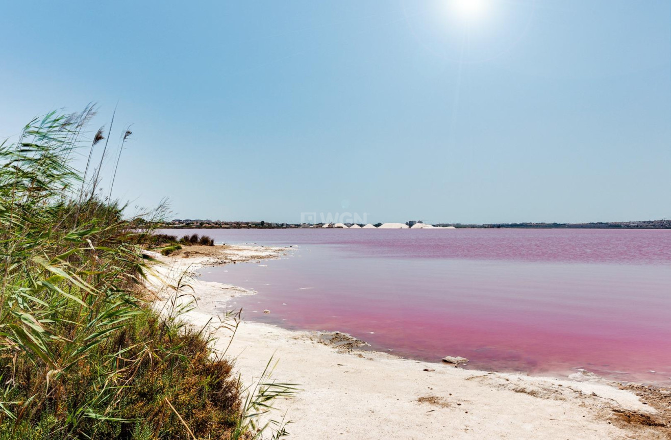 Odsprzedaż - Kamienica - Torrevieja - La Siesta - El Salado - Torreta