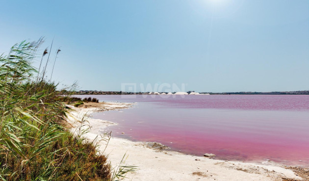 Odsprzedaż - Kamienica - Torrevieja - La Siesta - El Salado - Torreta