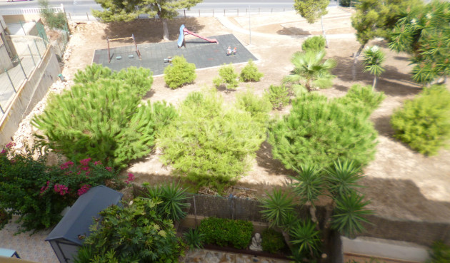 Reventa - Apartamento / piso - Cabo Roig - Costa Blanca