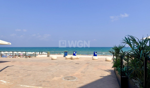 Wiederverkauf - Wohnung - Guardamar del Segura - Costa Blanca