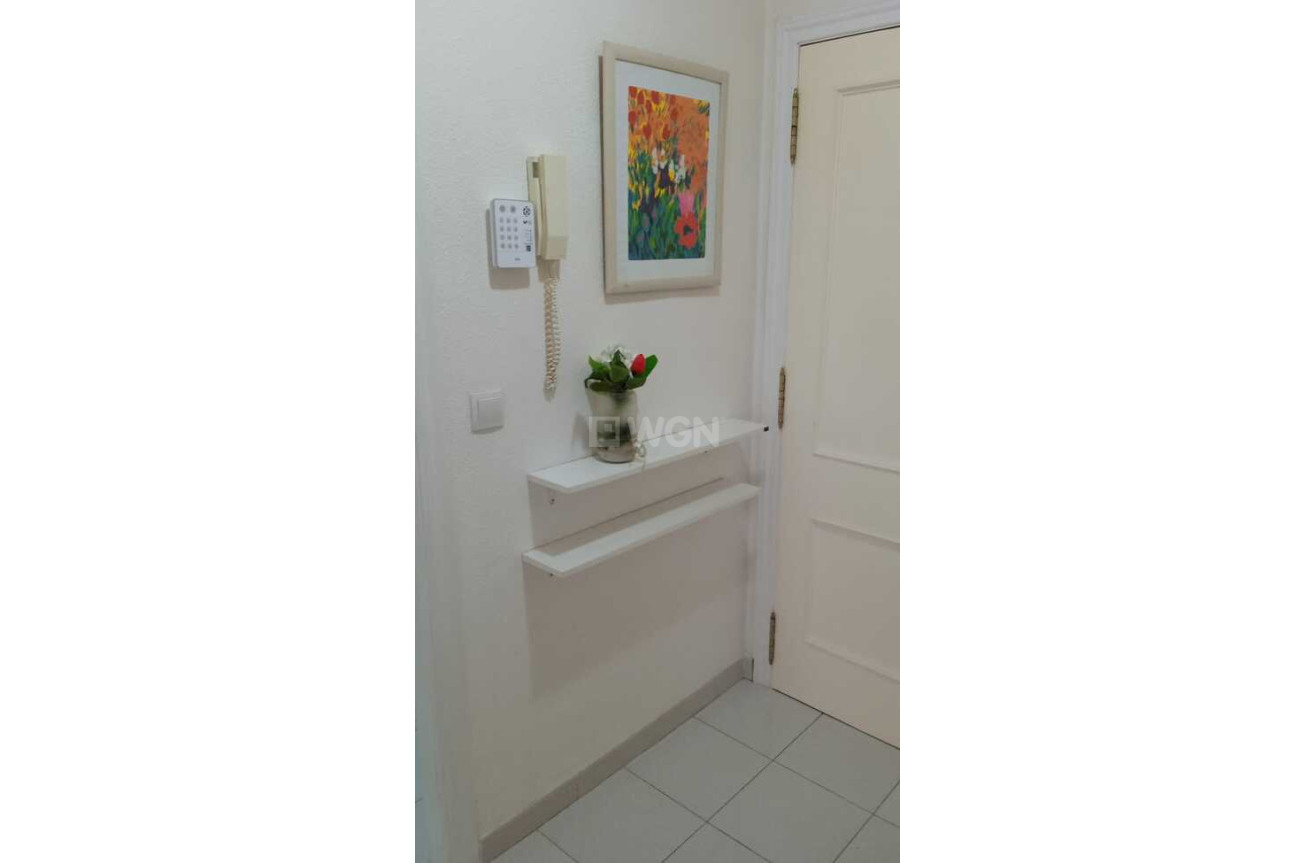 Wiederverkauf - Wohnung - Torrevieja - Habaneras
