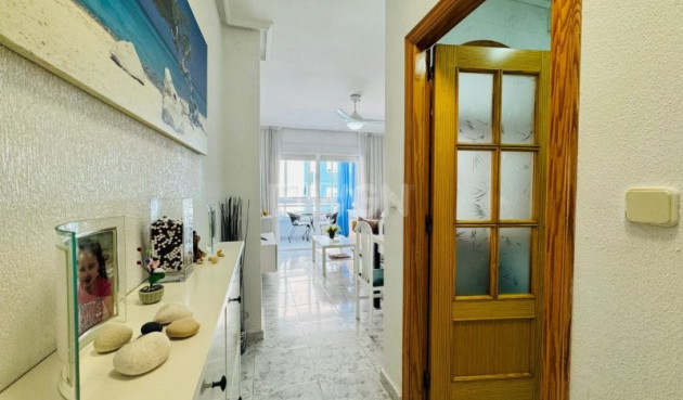 Odsprzedaż - Mieszkanie w bloku - La Mata - Costa Blanca