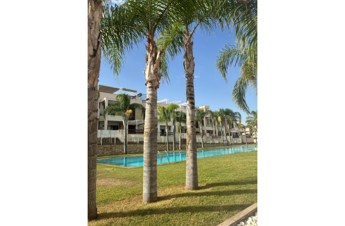 Odsprzedaż - Mieszkanie w bloku - Torrevieja - Los Balcones