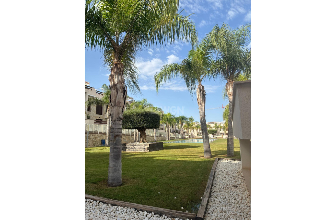 Odsprzedaż - Mieszkanie w bloku - Torrevieja - Los Balcones