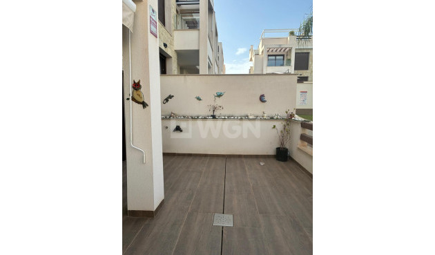 Odsprzedaż - Mieszkanie w bloku - Torrevieja - Los Balcones