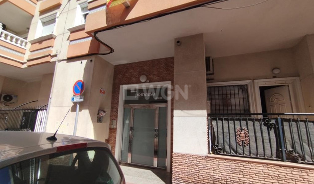 Odsprzedaż - Mieszkanie w bloku - Torrevieja - DIEGO RAMIREZ LA LOMA