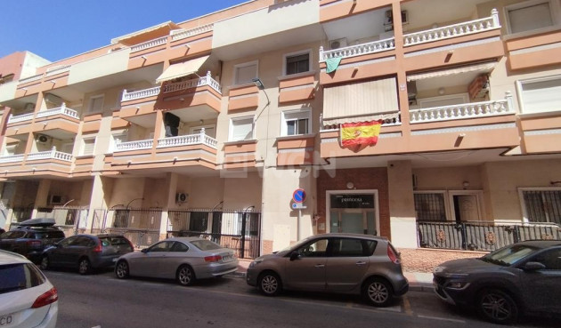 Odsprzedaż - Mieszkanie w bloku - Torrevieja - DIEGO RAMIREZ LA LOMA