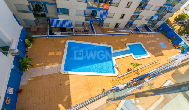 Wiederverkauf - Wohnung - Torrevieja - Playa de los Locos