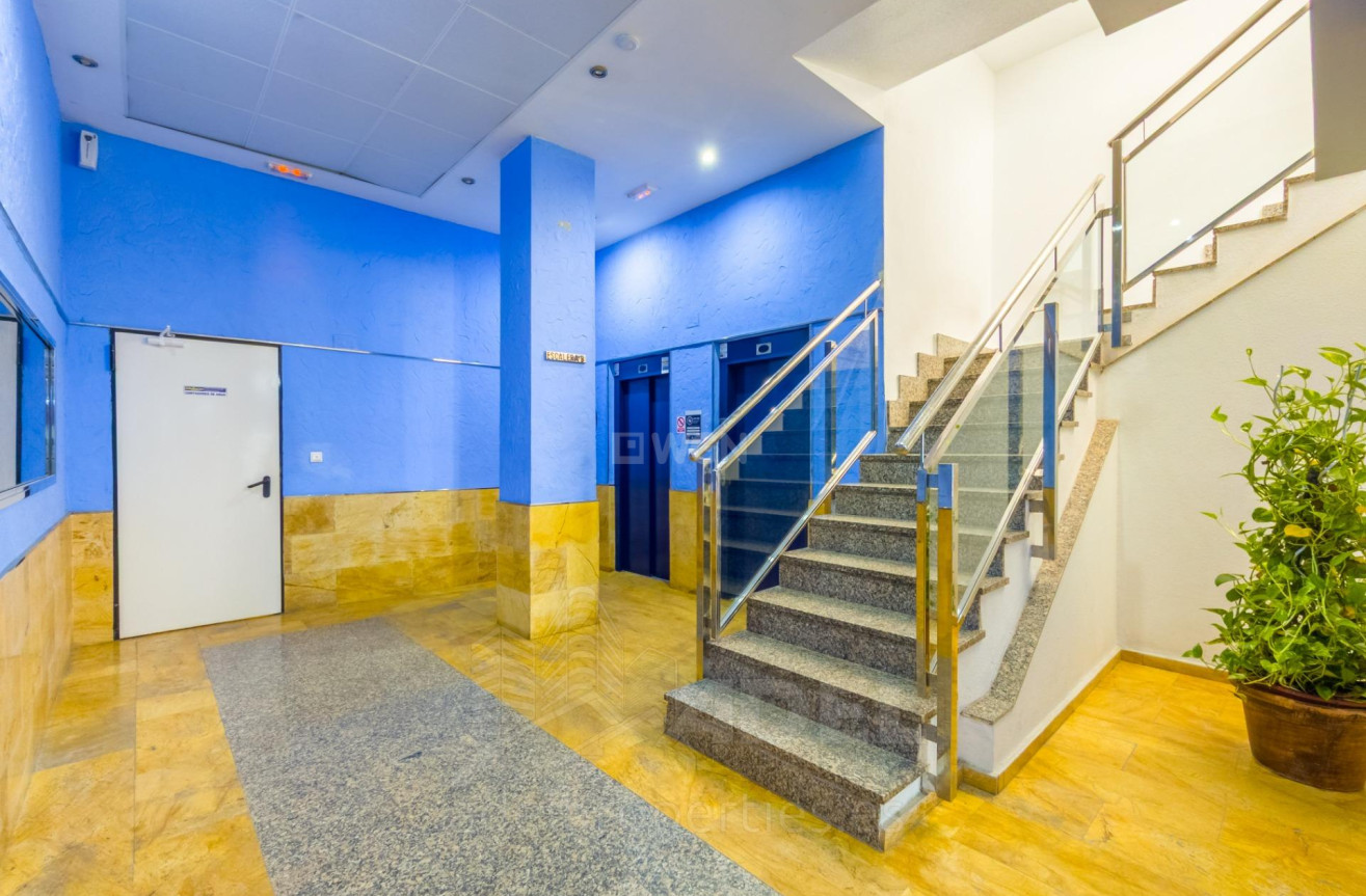 Wiederverkauf - Wohnung - Torrevieja - Playa de los Locos