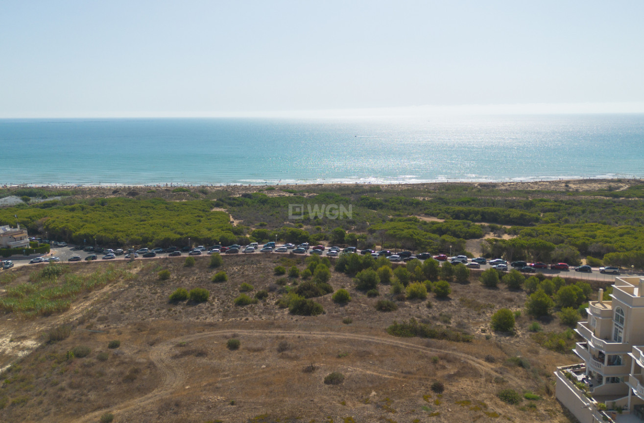 Wiederverkauf - Wohnung - Guardamar del Segura - Costa Blanca