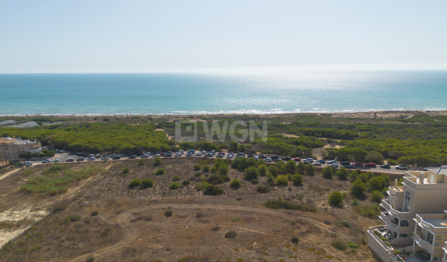 Wiederverkauf - Wohnung - Guardamar del Segura - Costa Blanca