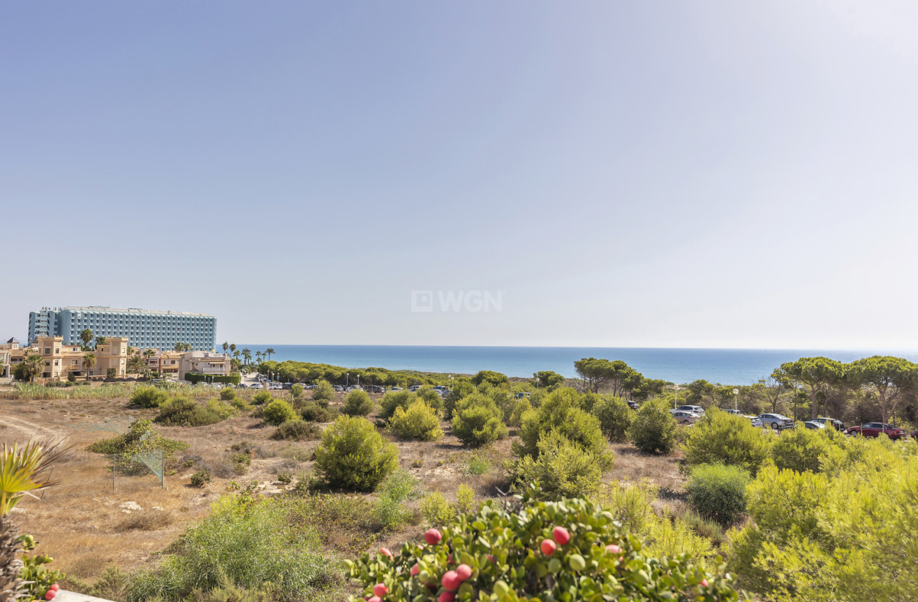 Wiederverkauf - Wohnung - Guardamar del Segura - Costa Blanca