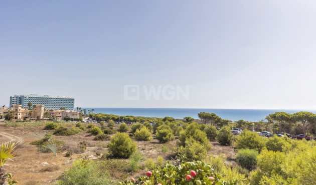 Wiederverkauf - Wohnung - Guardamar del Segura - Costa Blanca