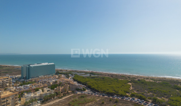 Wiederverkauf - Wohnung - Guardamar del Segura - Costa Blanca