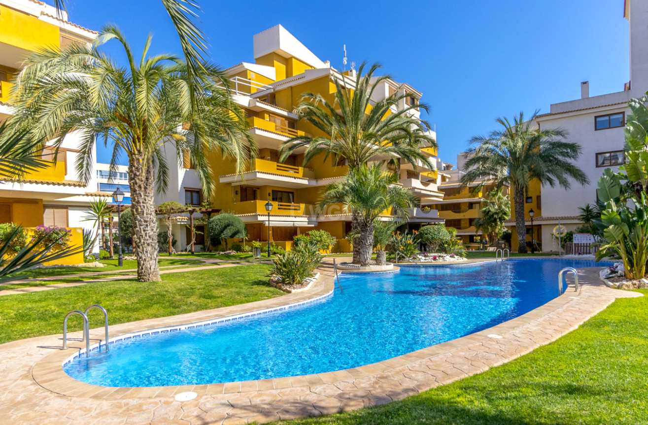 Odsprzedaż - Mieszkanie w bloku - Torrevieja - Costa Blanca