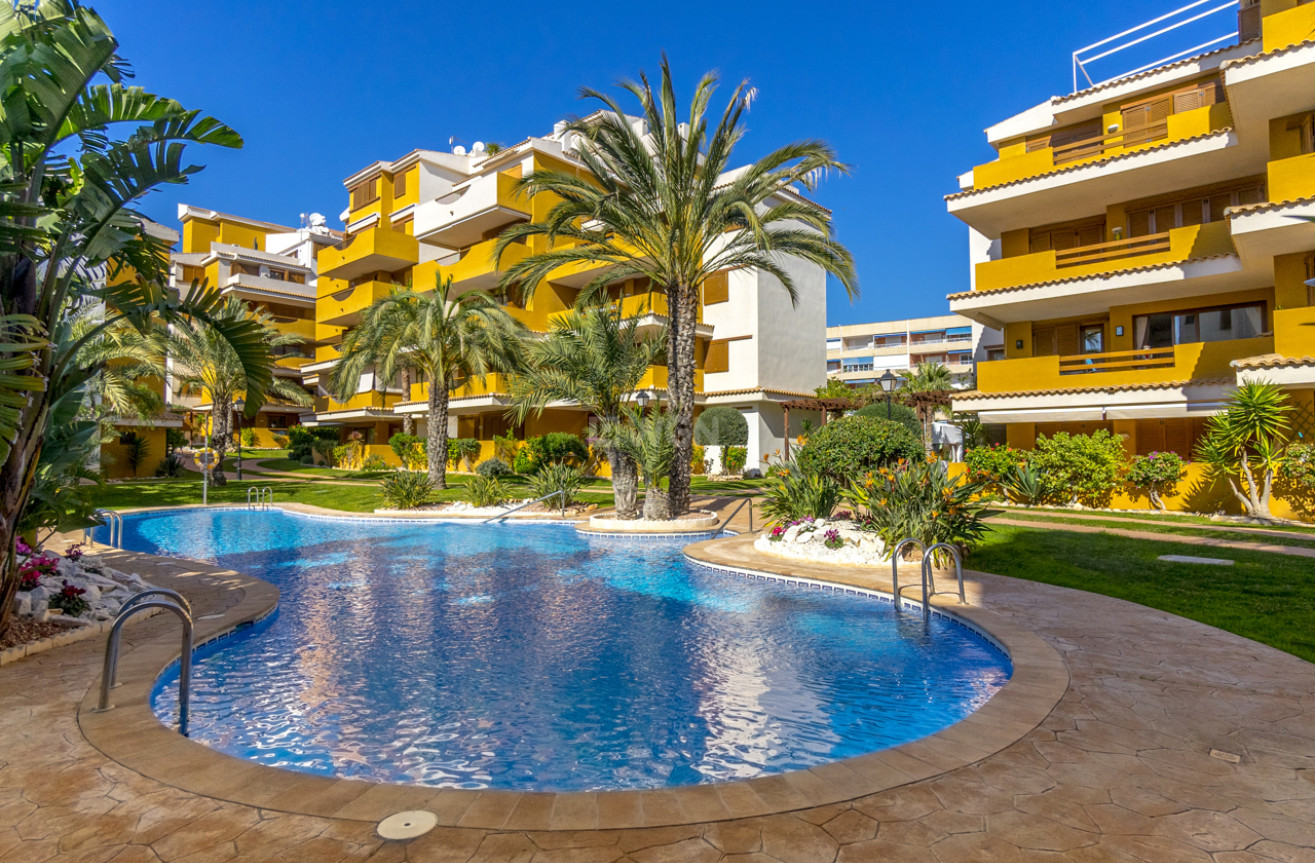 Odsprzedaż - Mieszkanie w bloku - Torrevieja - Costa Blanca
