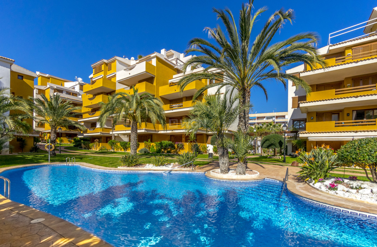 Odsprzedaż - Mieszkanie w bloku - Torrevieja - Costa Blanca