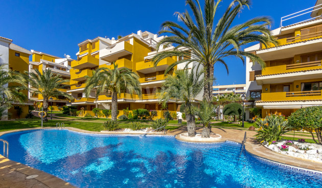Odsprzedaż - Mieszkanie w bloku - Torrevieja - Costa Blanca