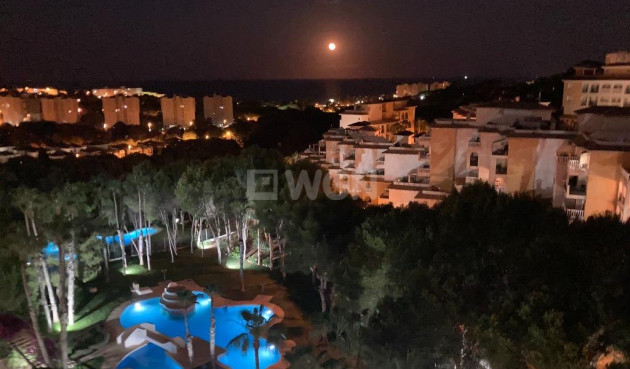 Wiederverkauf - Wohnung - Orihuela Costa - Altos De Campoamor