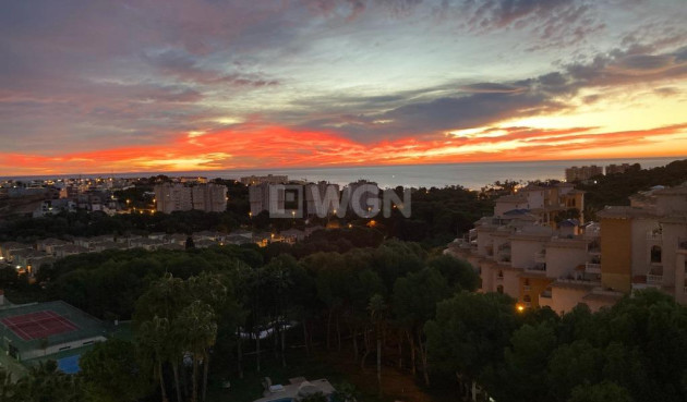 Wiederverkauf - Wohnung - Orihuela Costa - Altos De Campoamor