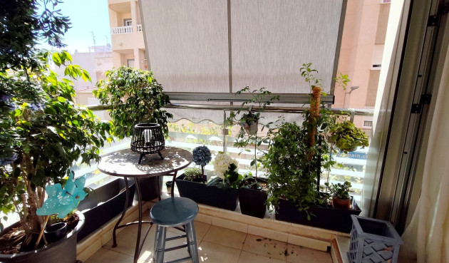 Odsprzedaż - Mieszkanie w bloku - Torrevieja - Costa Blanca